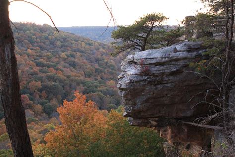 Bucks pocket - Bucks Pocket Little Secret. Book Now! Come climb to the top of point rock. Buck’s Pocket State Park is a hidden gem 45 miles north of Mentone in Northern Alabama, and the Tiny House is one minute away from it all.